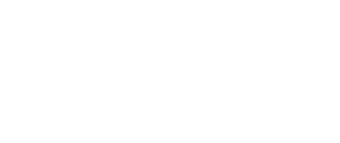 E1IT Governança